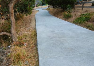 Exposed Concreting - Pathway